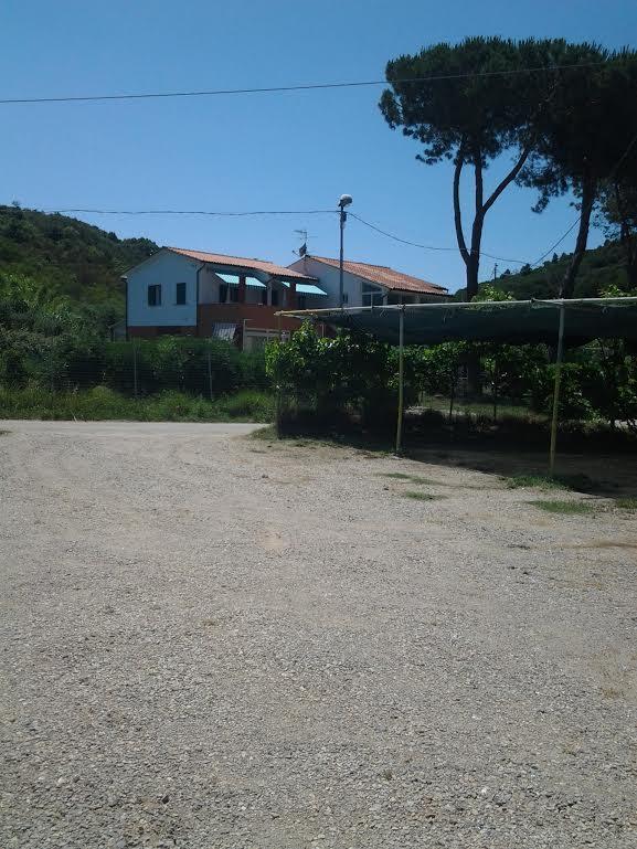 Hotel Rustichello Marina di Campo Exterior photo